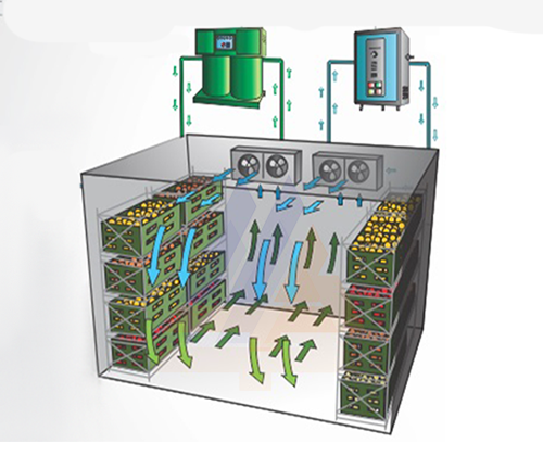 MA PLANT AUTOMATION MA PLANT AUTOMATION