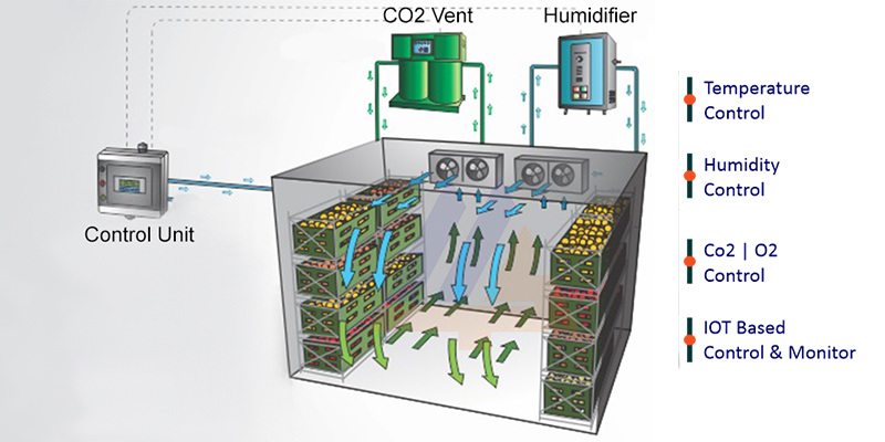 MA PLANT AUTOMATION